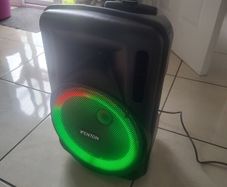 Fenton FT 12 inch LED party box