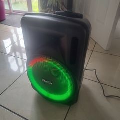 Fenton FT 12 inch LED party box