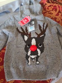 Chistmas hoodie jumper