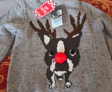 Chistmas hoodie jumper