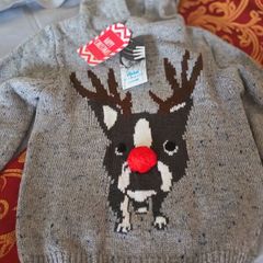 Chistmas hoodie jumper