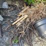 firewood Image 3