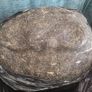 Job lot of vintage horsehair and natural upholstery stuffing weighing approximately 35KG Image 4