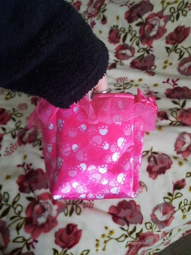 build a bear pink carrier
