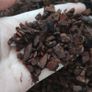 Orchid Pine Bark Image 2