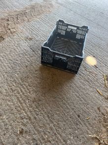 Plastic crate