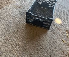 Plastic crate