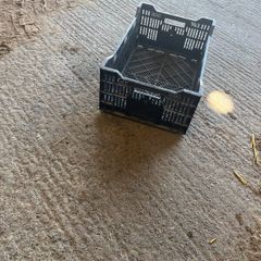 Plastic crate