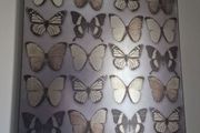 butterfly canvas decor