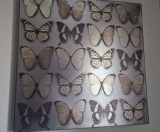 butterfly canvas decor