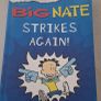 Big Nate Set of 9 books Image 6