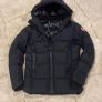 Canada Goose Image 2