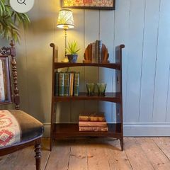 Mahogany bookcase / hobby shelf