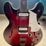 60's Welson 12 string Image 2