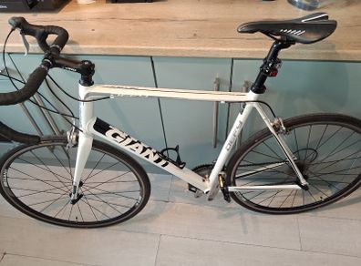 Giant Defy Size L