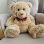 Plush Teddy Image 2