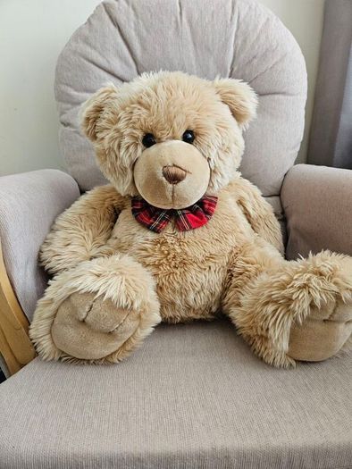 Plush Teddy