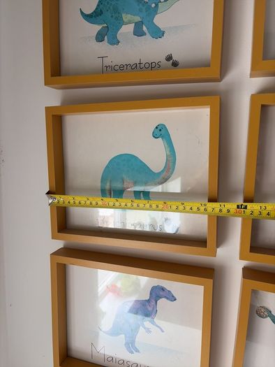 Dinosaur prints and frame