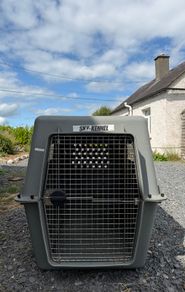 Extra Large IATA dog crate
