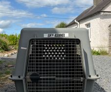 Extra Large IATA dog crate