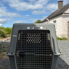Extra Large IATA dog crate
