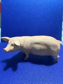 Leonardo Pig Figure