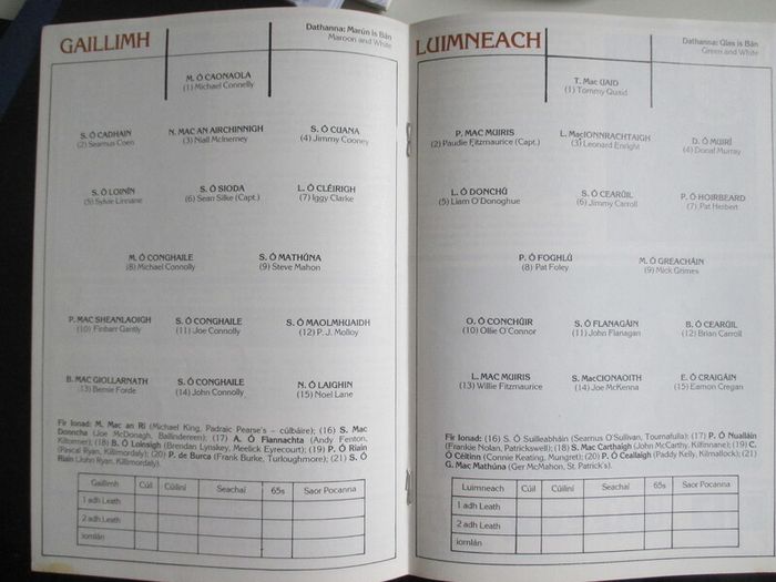 GAA All-Ireland Hurling Semi-Final Replay 1981