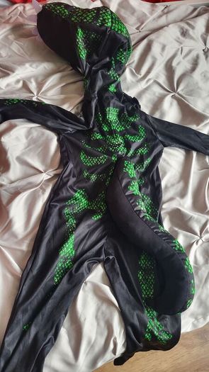 dinosaur outfit (2-3 years)