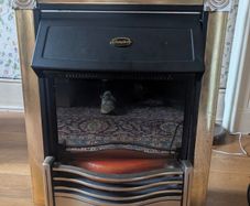 electric fire