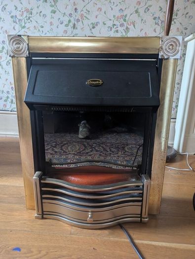 electric fire