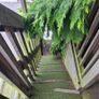 treehouse and slide Image 4