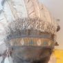 Native American Indian Chief Image 6