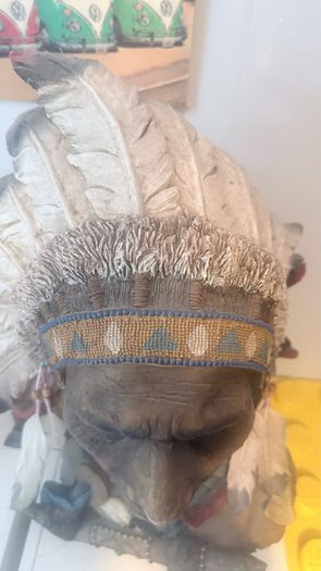 Native American Indian Chief