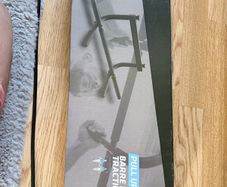 pullup bar door