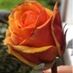 MaraIE