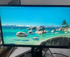Monitor dell