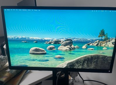 Monitor dell