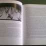 Unravelling the Spiral Life and work of Fred Conlon 1943-2005 Ireland Sligo Image 7