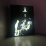 Slash Lightbox Image 4