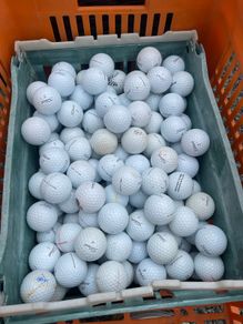165 Titleist ProV1/ProV1x Golf Balls - Seconds