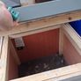 chicken/rabbit hut Image 4