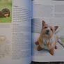 Know your Dog, Dr. David Sands, Hardback book, Non Fiction, Image 3