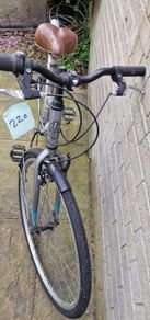 adult Bike