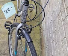 adult Bike