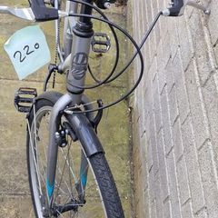 adult Bike