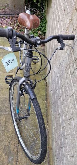 adult Bike