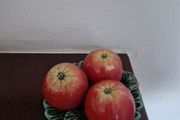 vintage ceramics