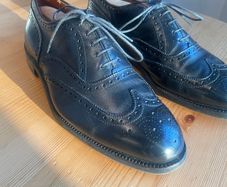 44 Alden wingtip oxfords