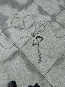 Spiral tie out dog cable and stake