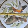2 Decorative Plates "Songbirds of The World" Bohemian Waxwing And Baltimore Oriole Image 6